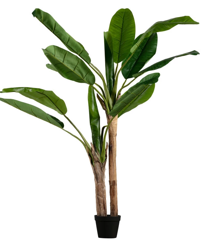 WOOOD Bananenplant Kunstplant - Groen - 97x138x95 1 WOOOD Bananenplant Kunstplant - Groen - 97x138x95