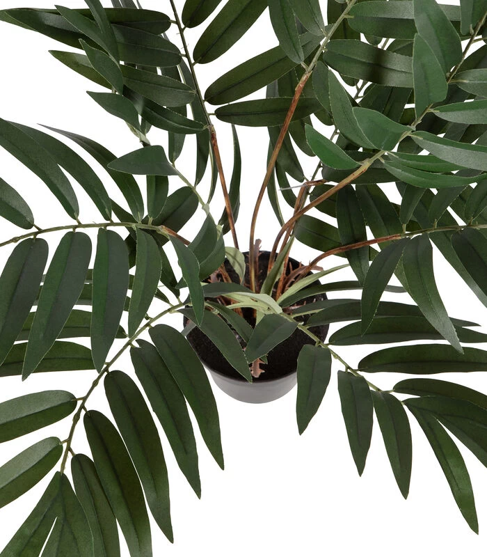 WOOOD Kwai Kunstplant - Plastic - Groen - 68x51x50 4 WOOOD Kwai Kunstplant - Plastic - Groen - 68x51x50 - Afbeelding 4