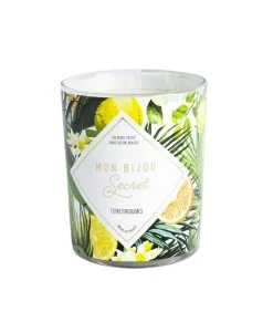 Geurkaars Citrus Met Zilveren Oorbellen -Decoratie Verkoop 10fd85bb2bea41a7b33ca7d9022ae6d8