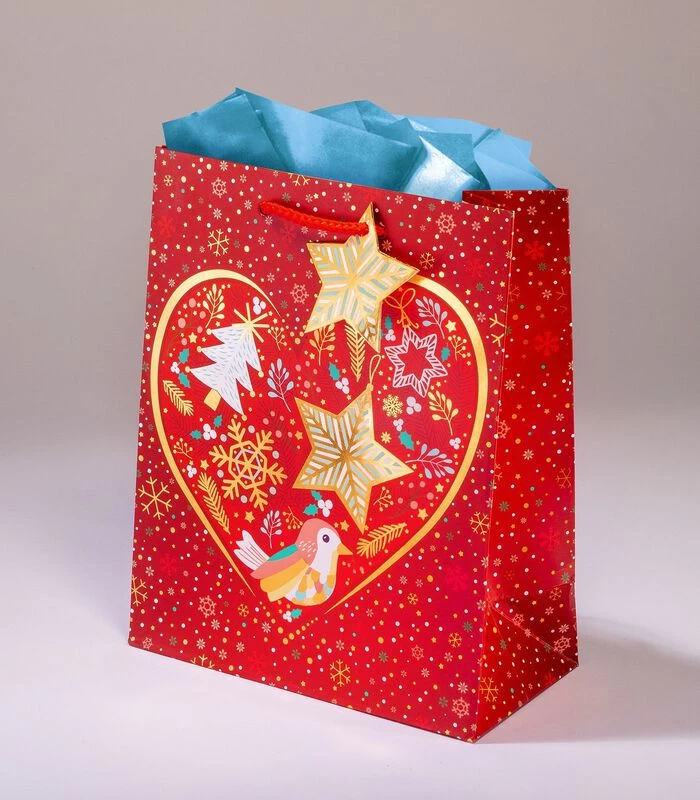Geschenkentas Rouge Cœur MML 20 X H 25 X P 10 Cm 1 Geschenkentas Rouge Cœur MML 20 X H 25 X P 10 Cm