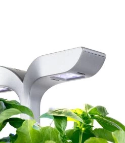 Indoor Moestuin Exky® SMART Soft Black -Decoratie Verkoop 1a3d54a5176a4f0b80e2a9c8f4cec1ad 1