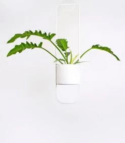 Decoratie Verkoop -Decoratie Verkoop 2302b515d9624323b185021c605239a4 1