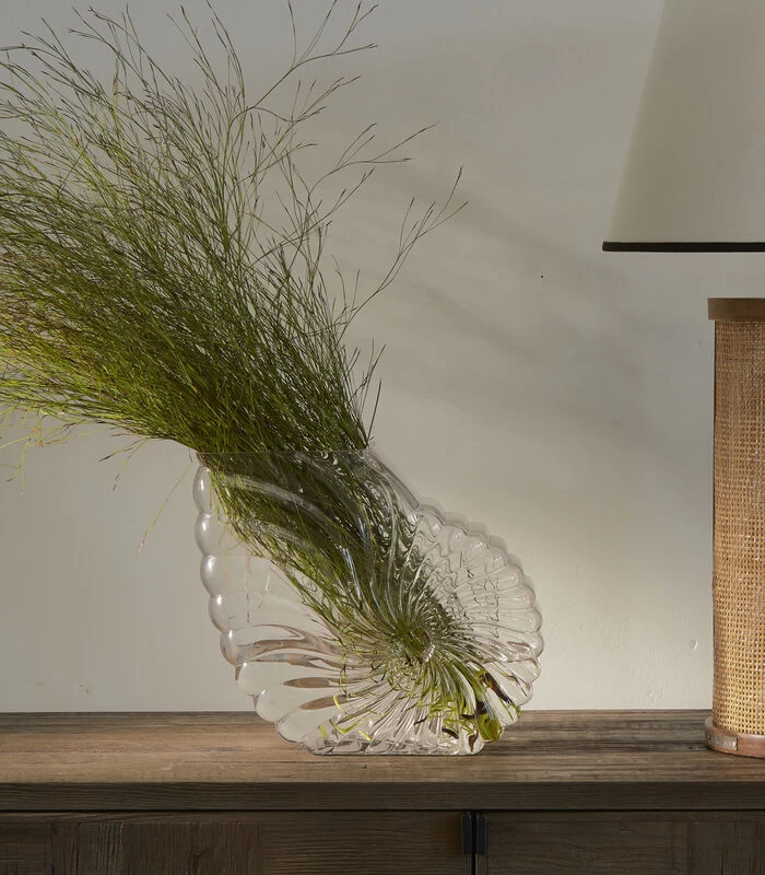 Vaas Glas, Bloemenvaas Schelp - Da Capo Schelp - Transparant 2 Vaas Glas, Bloemenvaas Schelp - Da Capo Schelp - Transparant - Afbeelding 2