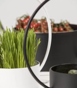 O-COLLECTION Medium Zwart -Decoratie Verkoop 28b48db2e94a4267b266f77c0bf1a005