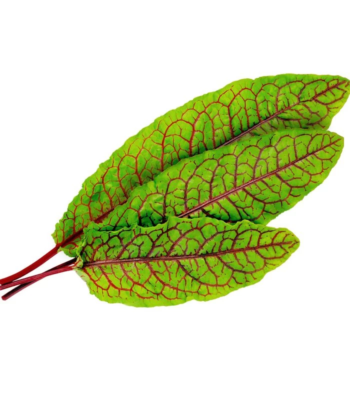 Lingot® Bloedzuring BIO - Voor Véritable® Moestuinen 2 Lingot® Bloedzuring BIO - Voor Véritable® Moestuinen - Afbeelding 2