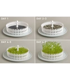 Seed Field -Decoratie Verkoop 29ac6cfba56a40dfb800f4ac1327287b