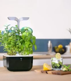 Indoor Moestuin Exky® SMART Soft Black -Decoratie Verkoop 2adc2da62a2a48e6936040e43fffda28