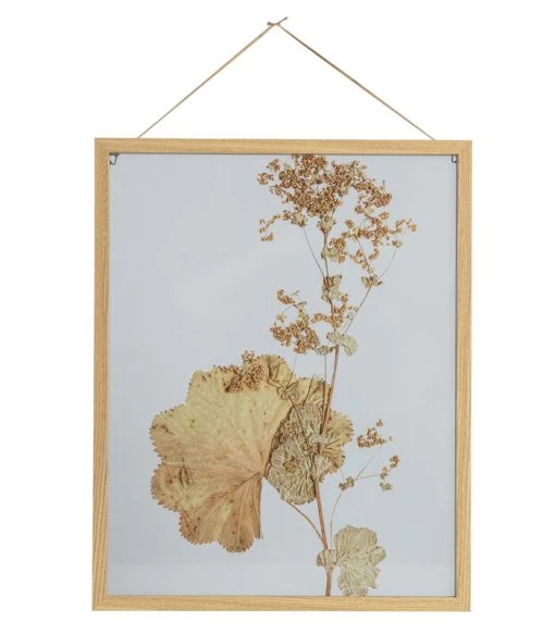 BePureHome Fotolijst Met Droogbloemen Potpourri – Hout/Glas – Naturel – 50x40x3 -Decoratie Verkoop 2c86bfc387154e05b373b30c8070adf8