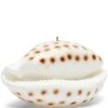 Kaars Schelp Wit