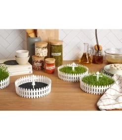 Seed Field -Decoratie Verkoop 587d9e5c1d52458a90bb3303fb3091e6