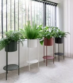 ENT Plantenstaander Medium Zwart -Decoratie Verkoop 5c82b5a8e4324b368980c7023403fcb1 2
