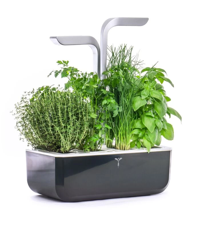 Indoor Moestuin Véritable® SMART Soft Black 2 Indoor Moestuin Véritable® SMART Soft Black - Afbeelding 2