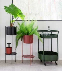 ENT Plantenstaander Medium Groen -Decoratie Verkoop 6809171d80b8494db646a158b0e0433c 1