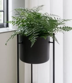 ENT Plantenstaander Medium Zwart -Decoratie Verkoop 89e66e98526e4cffbd781936e0d917e2 1