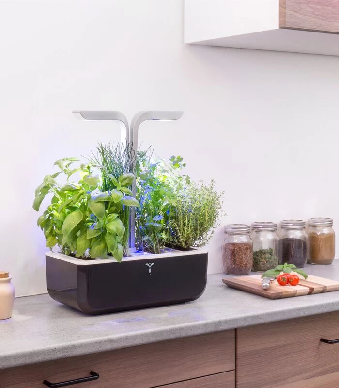 Indoor Moestuin Véritable® SMART Soft Black 3 Indoor Moestuin Véritable® SMART Soft Black - Afbeelding 3