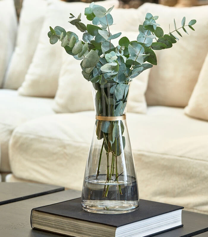 Vaas RM Bandolero Transparant 2 Vaas RM Bandolero Transparant - Afbeelding 2