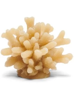 Kaars, Decoratieve Stompkaars Koraal - Coral - Blauw - 1 Stuk