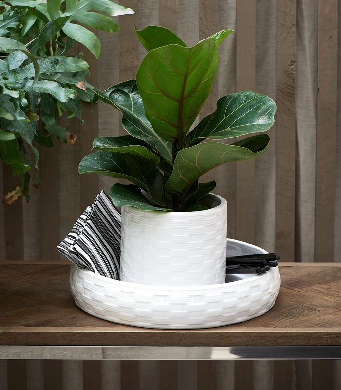 Bloempot Voor Binnen Wit - Classic Double Planter 2 Bloempot Voor Binnen Wit - Classic Double Planter - Afbeelding 2