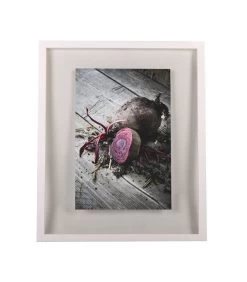 WINDOW Fotokader 50x60