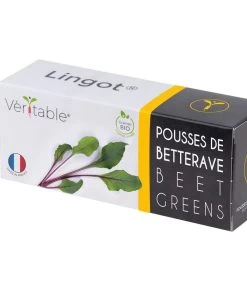 Lingot® Snijbiet Ribbetjes BIO - Voor Moestuinen