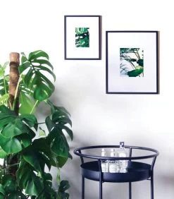 VITRO Fotokader 20 X 20 -Decoratie Verkoop b7805aec5c2041b282421d351057dd94 3