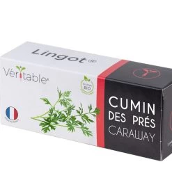 Lingot® Meadow Komijn BIO - Voor Moestuinen