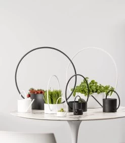 O-COLLECTION Klein Zwart -Decoratie Verkoop be2ab9e6721248a1a77a79bea99c1d75