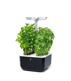 Decoratie Verkoop -Decoratie Verkoop c051ec3cb03a45c8b8518b079cc3c58f