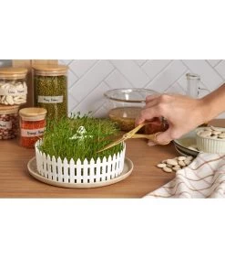 Seed Field -Decoratie Verkoop c9fb8acc5e0f4a2dbb5b96a14ddb4eff