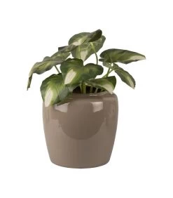 PRESENT TIME Bloempot Grand - Grijs - Ø25x23,5 Cm 5 PRESENT TIME Bloempot Grand - Grijs - Ø25x23,5 Cm -Decoratie Verkoop cca728923ab04102924eeb4f498bb7a7