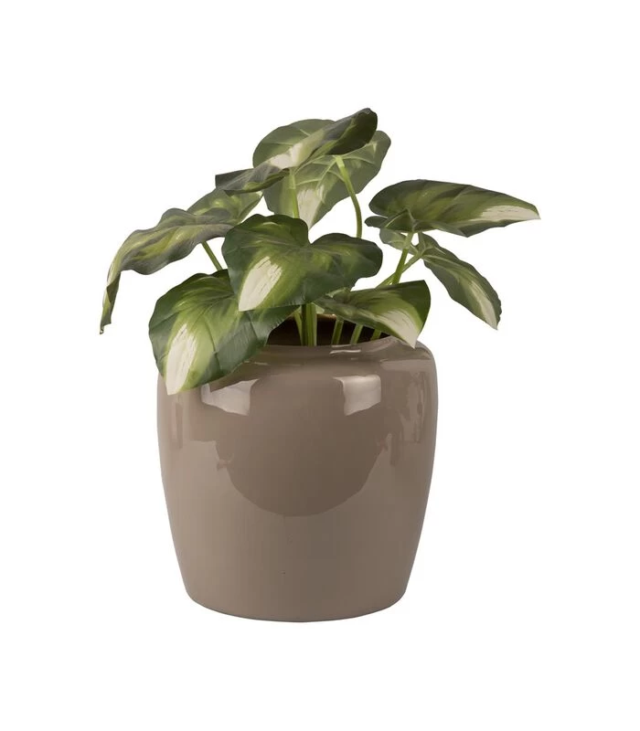 PRESENT TIME Bloempot Grand - Grijs - Ø25x23,5 Cm 3 PRESENT TIME Bloempot Grand - Grijs - Ø25x23,5 Cm - Afbeelding 3