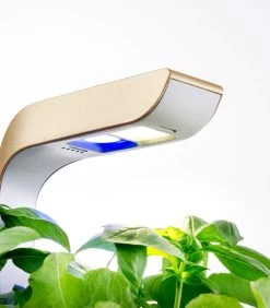 Indoor Moestuin Véritable® Connect Moonlight Gold -Decoratie Verkoop dd533279d4734cddabec132766bec169