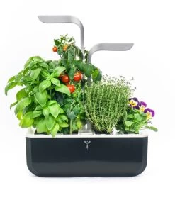 Indoor Moestuin Véritable® SMART Soft Black