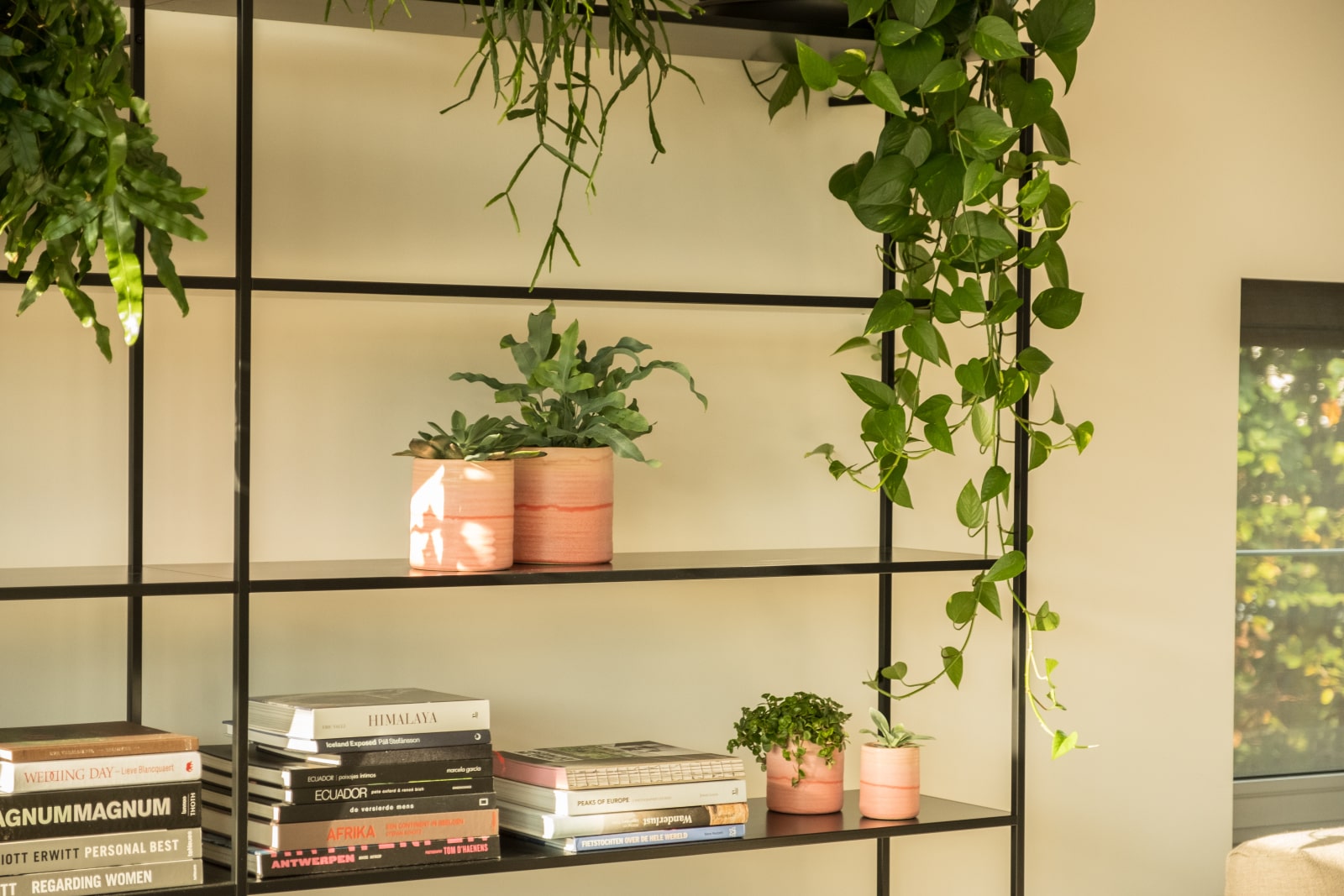 Decoratie Verkoop -Decoratie Verkoop caprice tibo 9 min